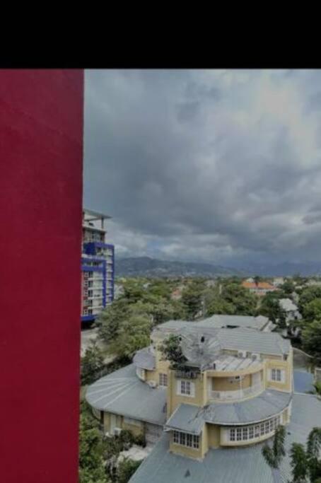 Parkhurst Lux Condo Near Devon House Kingston Buitenkant foto
